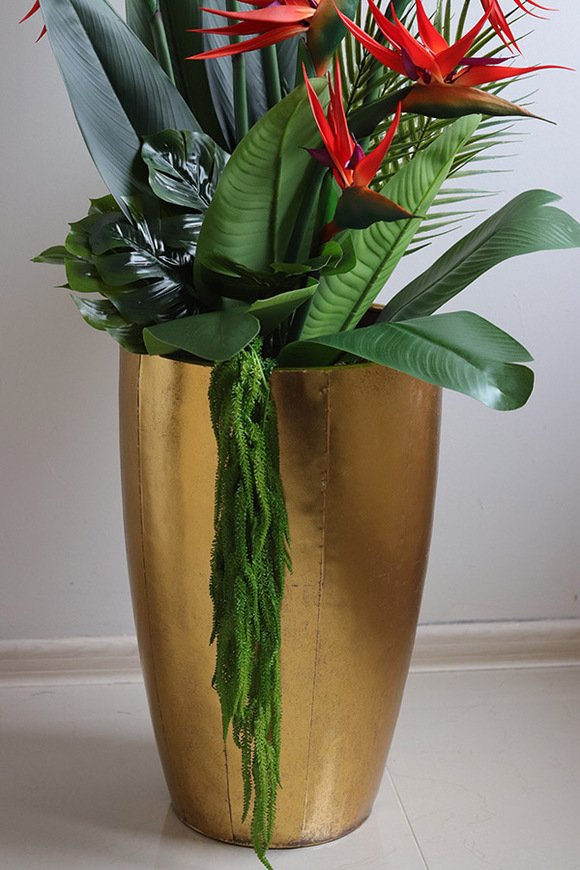 Strelicja Złota Bajka, egzotyczna kompozycja