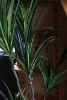 Dracena Simple Gold, sztuczna roślina w doniczce