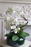 Green Land Gaina, wysokiej jakości sztuczny storczyk