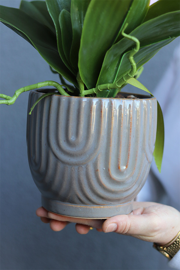 Hrena Pink, różowy storczyk w beżowej donicy