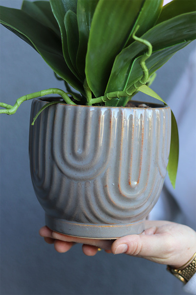 Hrena Pink, różowy storczyk w beżowej donicy