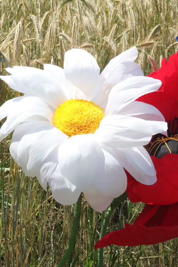 Rumianek Paper Flowers, ręcznie robiony kwiat papierowy