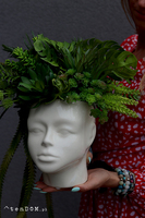 Green Head, efektowna kompozycja sukulenty w głowie