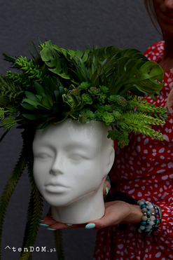 Green Head, efektowna kompozycja sukulenty w głowie, wys.34cm 