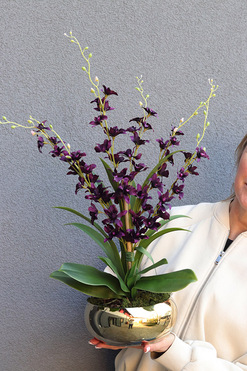 Tajlandia Purple, storczyk w złotej donicy, wys.63cm