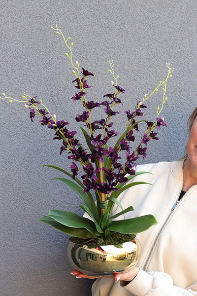 Tajlandia Purple, storczyk w złotej donicy