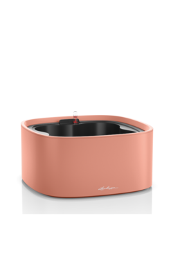 Pila, doniczka misa z nawadnianiem, koral, wym.16.5x35cm