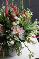 Albertina Design Greia, kompozycja z sukulentami