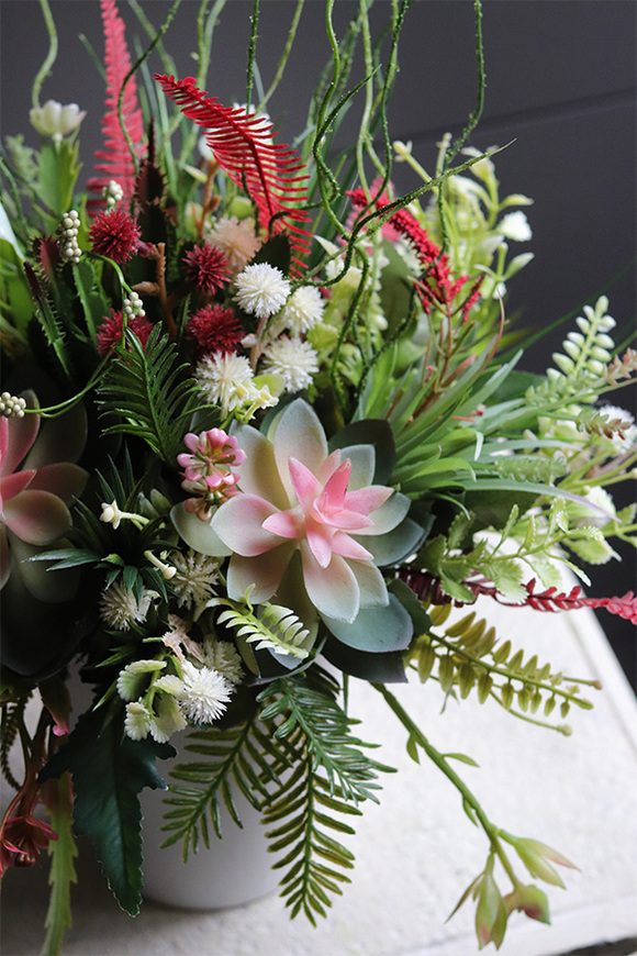 Albertina Design Greia, kompozycja z sukulentami