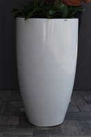 Grande Fenice Excellence, efektowny storczyk w białej donicy z fiberglass, wys.148cm