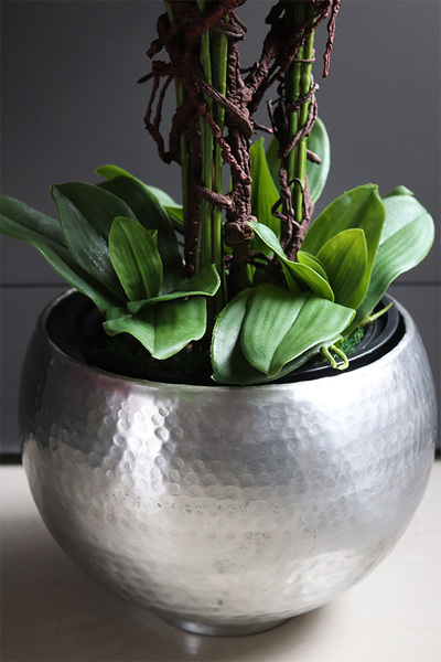 Fuksja Silver Apratment, sztuczny storczyk w srebrnej donicy