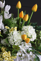 Telina Spring, wiosenna kompozycja nagrobna