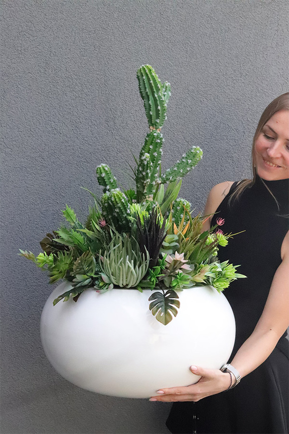 Esperanza Cacti 3 Fiberglass, sukulenty z kaktusem w białej donicy