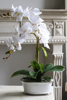 Modreta White, sztuczny storczyk w biało-srebrnej donicy, wys.52cm