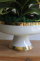 Granada Dortmund, gumowy storczyk w pucharze