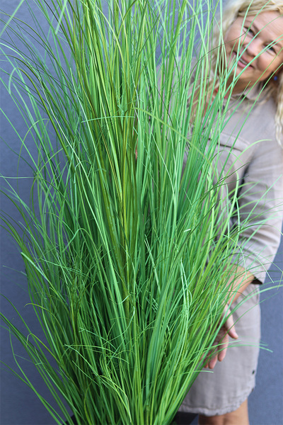 Black Hampton Fiberglass, trawa w czarnej donicy