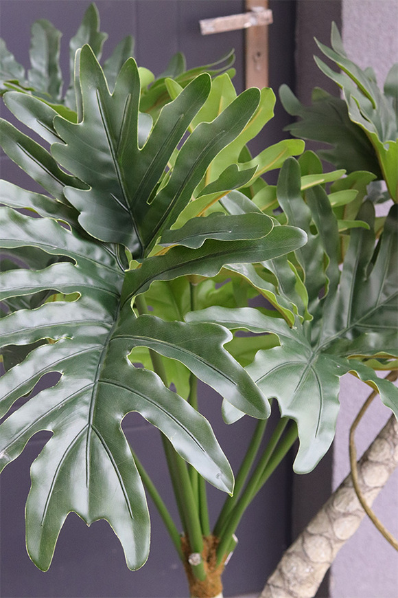 Filodendron Pierzasty, wysokiej jakości sztuczna roślina	