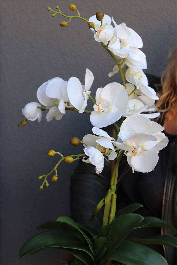 sztuczny storczyk Explosion Mini Ball