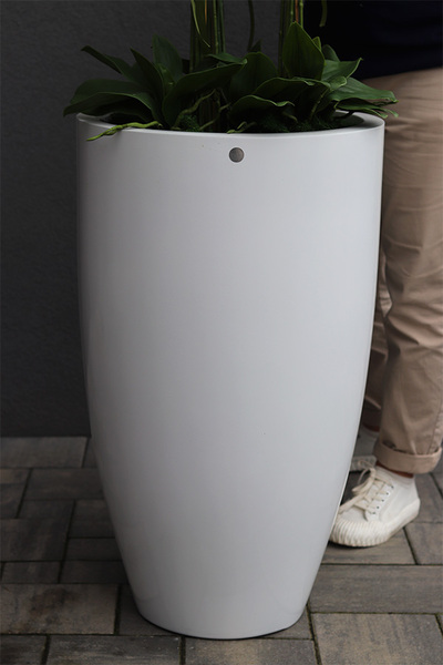 Fiberglass Grande White, storczyk XXL w białej donicy