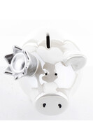 Princess White, świnka skarbonka w koronie, biała