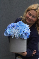Blue Hydrangeas, szary flowerbox z kwiatami