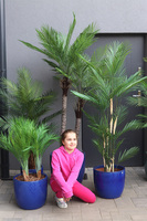 Ares Blue, sztuczne palmy w ceramicznej donicy