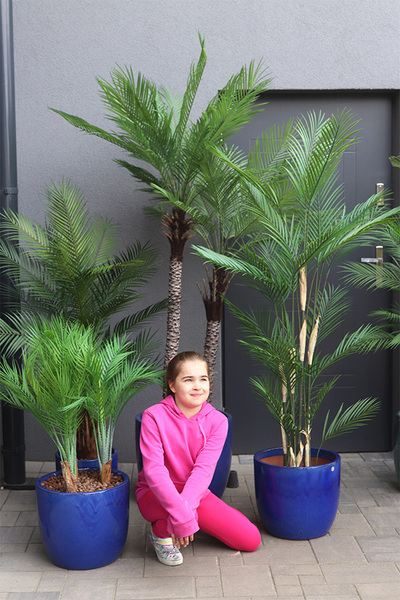 Ares Blue, sztuczne palmy w ceramicznej donicy