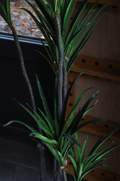 Dracena Simple Gold, sztuczna roślina w doniczce, wys.137cm