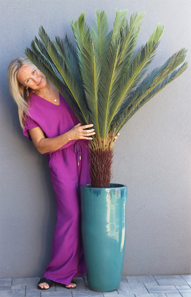 Cykas Grande Turkus, sztuczna roślina w donicy, wys.175cm