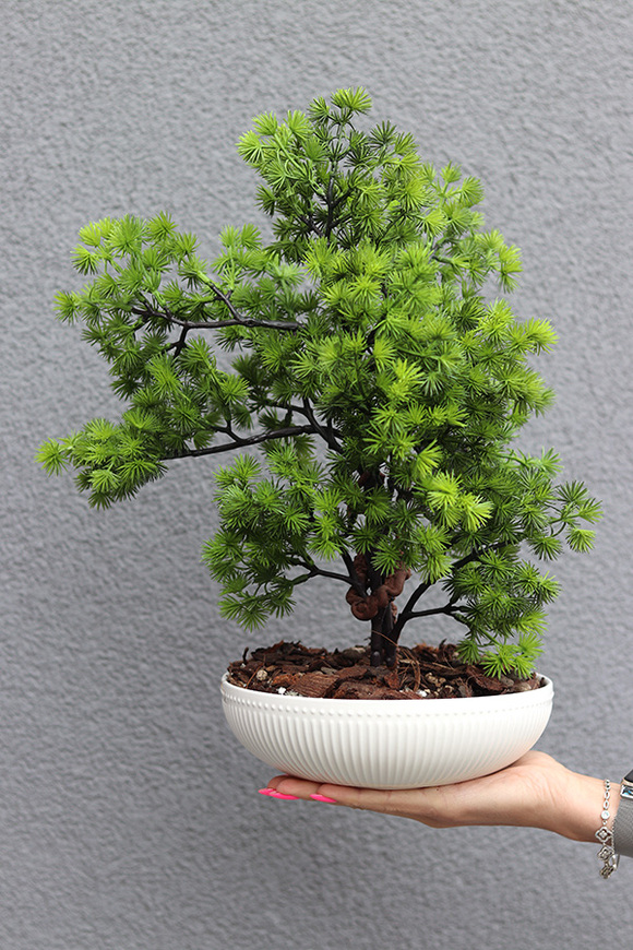 Bonsai Supreme, sztuczne drzewko w ceramicznej misie, wys.42cm