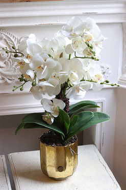 Gold Glass, storczyk w złotym naczyniu, wys.55cm