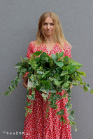 Green Glamour, kompozycja sukulenty w okrągłej donicy