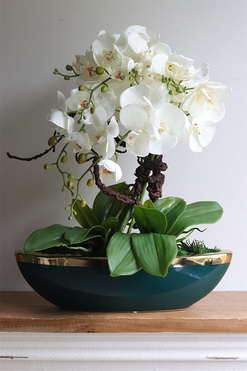 Turkusina Laos, elegancki storczyk w zielonej donicy glamour, wys.53cm