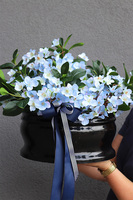 Blue Memory, kompozycja nagrobna w misie