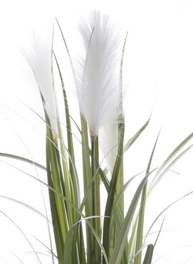 sztuczna trawa Pióropusze, biel, wys.80cm 