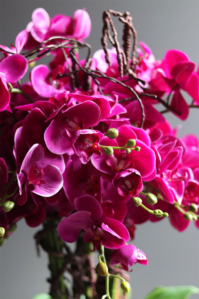 Fuksja Silver Apratment, sztuczny storczyk w srebrnej donicy