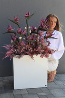 Violetera Fiberglass, sukulenty ze strelicjami w białej donicy