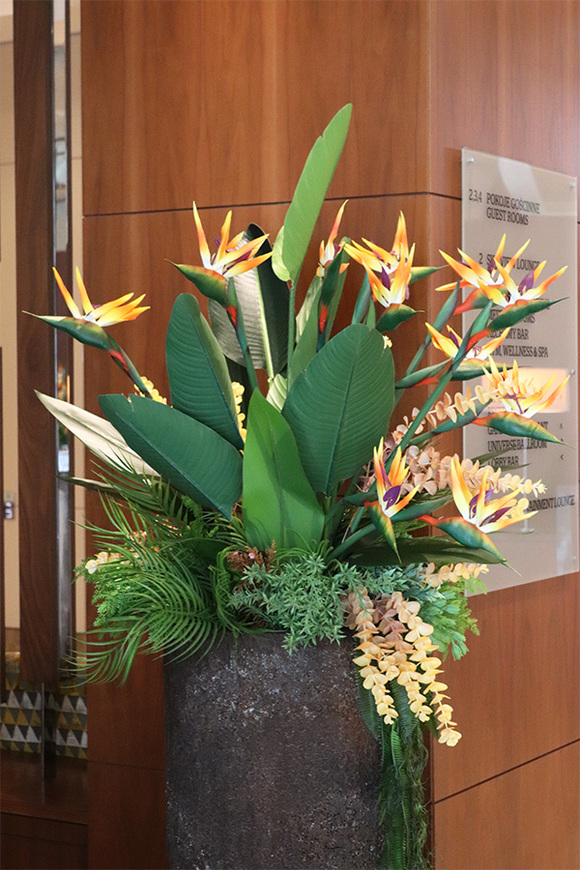 Strelicja Etna, egzotyczna kompozycja XXL w wysokiej donicy