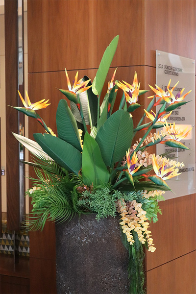 Strelicja Etna, egzotyczna kompozycja XXL w wysokiej donicy