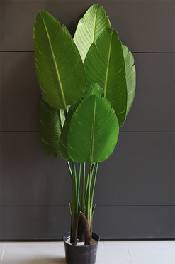 Bananowiec, sztuczne drzewko w osłonce donicy, wys.115cm