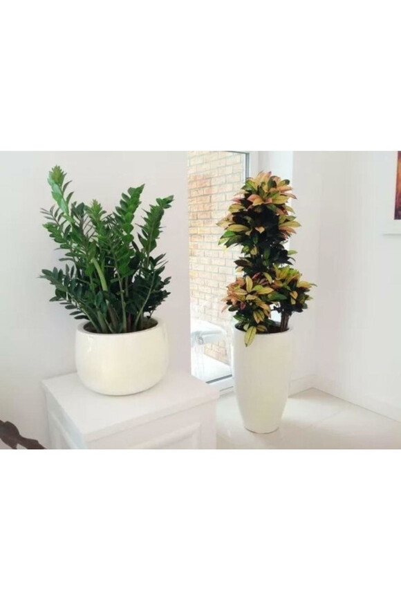 Fiberglass donica Bowl Cashmir