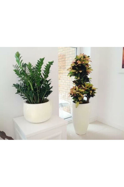 Fiberglass donica Bowl Cashmir