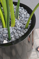 drzewko sztuczne Monstera Fiberglass w donicy