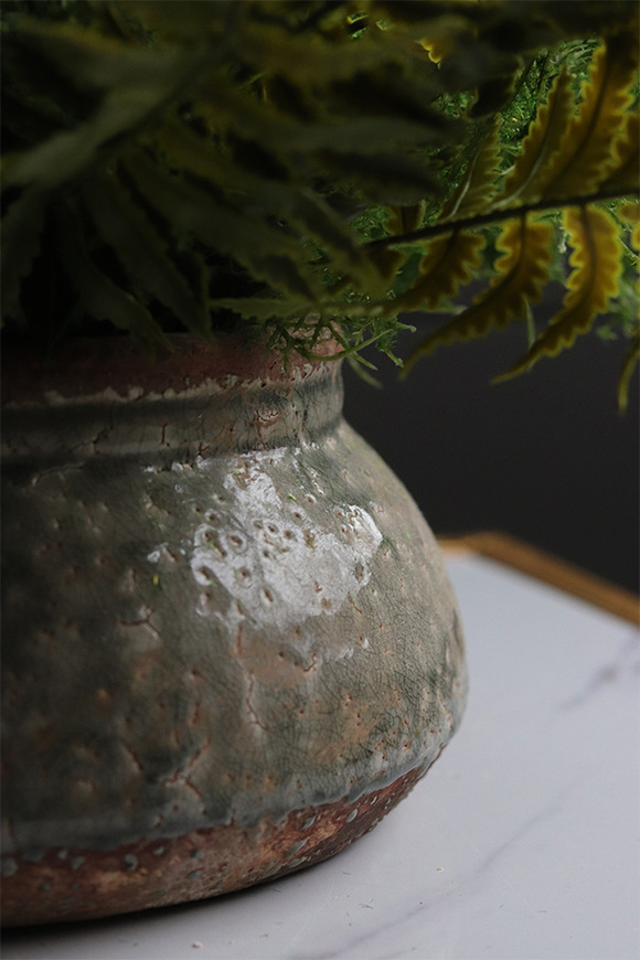 Tunila Verona, paproć w ozdobnej donicy