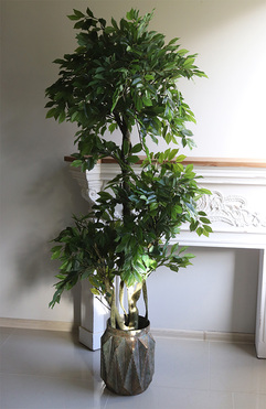 Fikus Benjamin F Gold Line, sztuczna roślina w metalowej donicy, wys.180cm