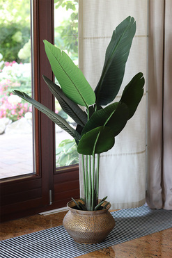 Bananowiec Eduardo, sztuczna roślina w donicy, wys.170cm