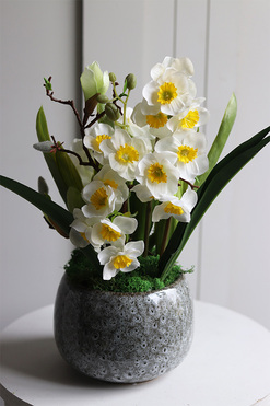 Narcyzolia kompozycja wiosenna z żonkilami, wys.43cm 