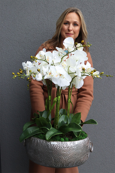 efektowny storczyk w metalowej misie, Ferrata Big 2