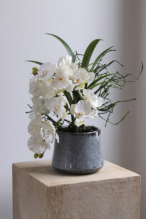 Orientana, gumowy sztuczny storczyk w ozdobnej donicy