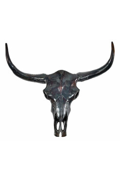 Dekoracja Bawole Rogi Nero, dekoracja ścienna, 1 szt. wym.68x18x60cm